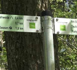 Wanderweg Hochgehwachsen