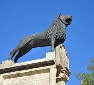 Ansichten des Braunschweiger Löwen