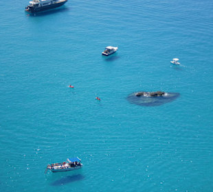 Capo Vaticano