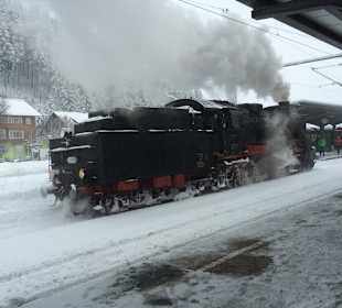 Wandern Titisee-Neustadt