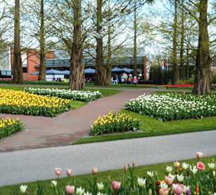 Blumenpracht im Keukenhof