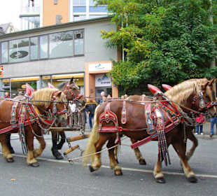 Umzug-Michaeliskirchweih Fürth