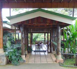 Doka Estate Kaffeeplantage