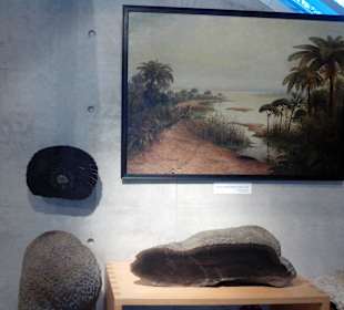  Burgruine Lichtenberg Thallichtenberg Geoskop