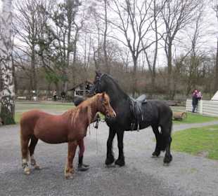 Tierpark Bad Schönborn