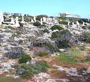 Skulpturenpark