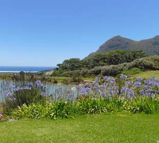 Cape Point Vineyards in Noordhoek