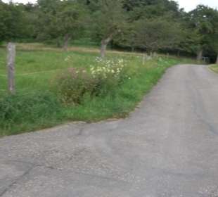 Hochgehnießen - Premiumspazierwanderweg