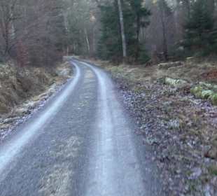 Wanderung rund um den Ochsenweiher