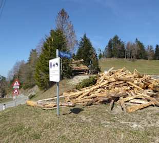 Pfänder - Wanderweg