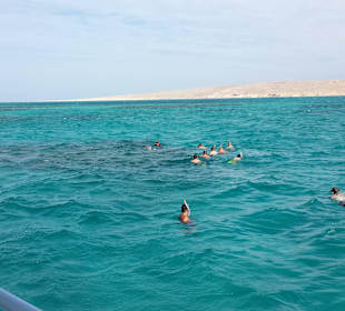 Et encore en pleine mer