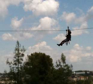 Fly Fox Fun Climbing