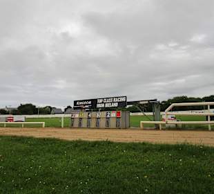 Windhundrennen Tralee