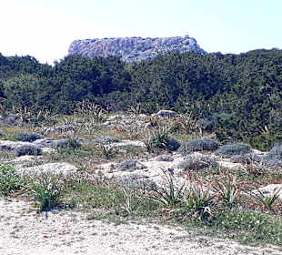 Nationalpark Kap Greco