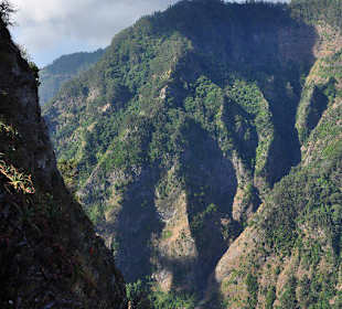 Blick Richtung Küste