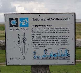 Auch das wächst hier