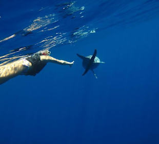 Delfinschnorcheln mit den Dolphin Dancers, 2012