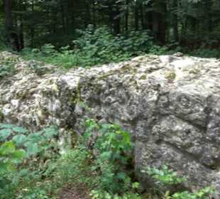 Burg Alt-Lichtenstein