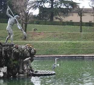 Water feature