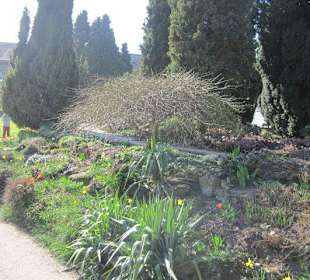 Der Botanische Garten im März 14
