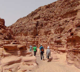 Kolorowy Wąwóz Synaj