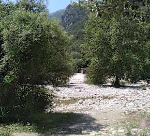 Wandern