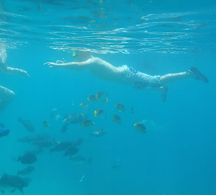 When you snorkle at sea a lot of fish to see