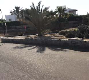 Stadtbesichtigung El Gouna