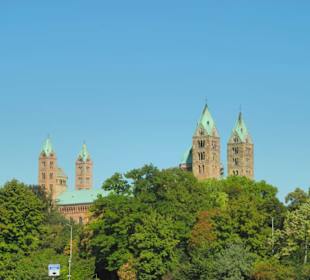 Vorne der Domgarten ( Park)