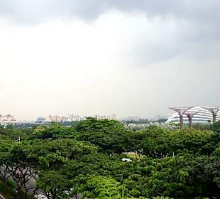 Gardens by the Bay