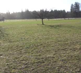 Premiumwanderweg Hohenwittlingensteig