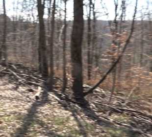 Geologischer Lehrpfad Kirnbachtal
