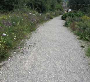 ALB-GOLD Naturgarten