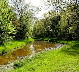 Spaziergang durch den Bremer Stadtwald