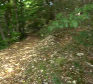 Tour entlang der Traifelbergfelsen