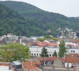 Blick in Richtung Philosophenweg