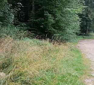 Eninger Weide