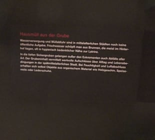 Rheinisches Landesmuseum