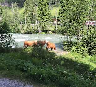 Erlebniswanderpfad nach Gerlos