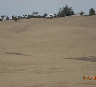 Dünen von Maspalomas