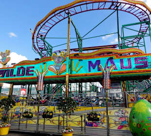 Impressionen von der Osterwiese