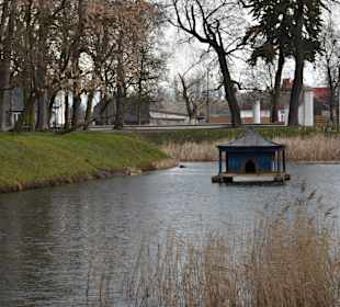 Oranżeria