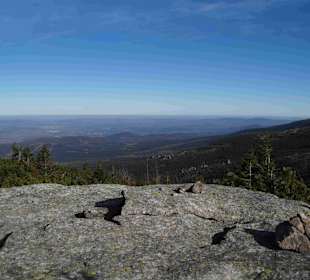 Riesengebirge/Karkonosze