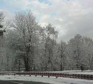 Winter walk at Park Jelitkowski, Gdańsk, Poland