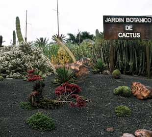 Eingang zum Kaktusgarten