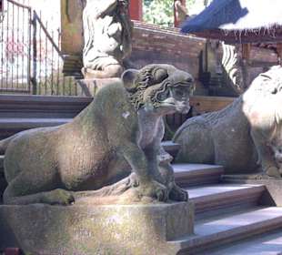 Tempel im heiligen Monkey Forest