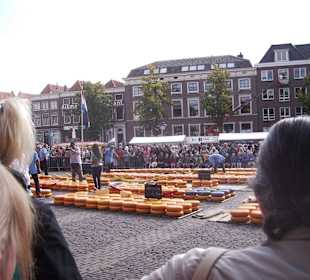 Käsemarkt in Alkmaar