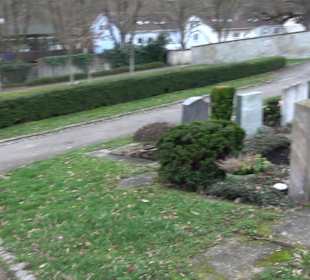 Friedhof Neckarhausen