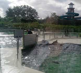 Seehundstation Norddeich