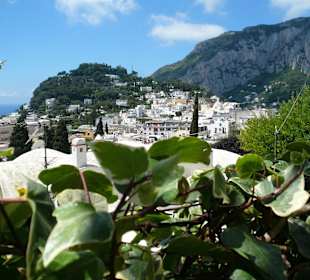 Blick von Anacapri auf Marina Grande